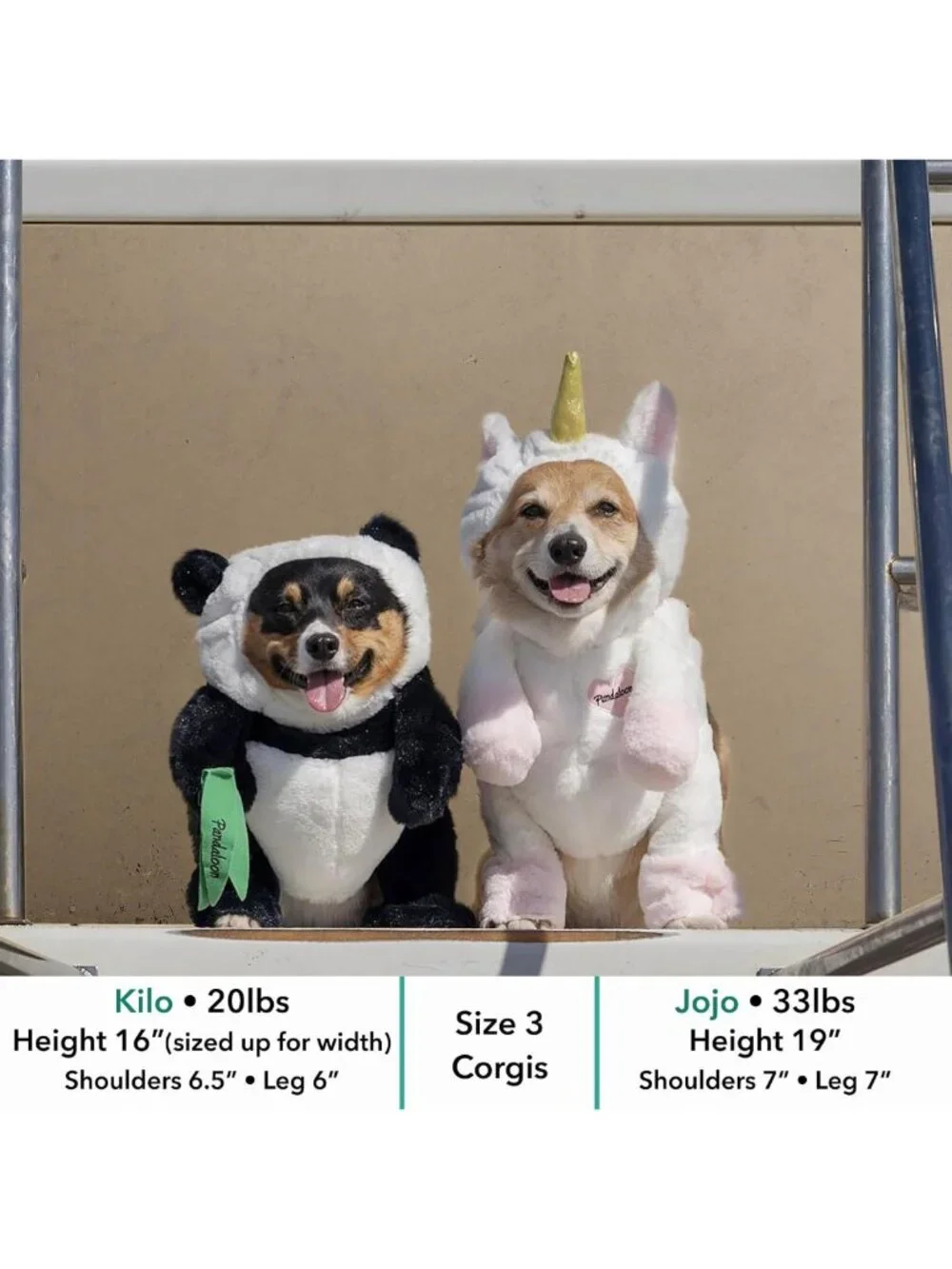 Funny Panda Dog Halloween Costume for Small & Medium Pets - Unique Design, Size